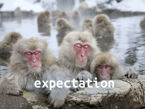 Expectation vs. Reality - Snow Monkeys